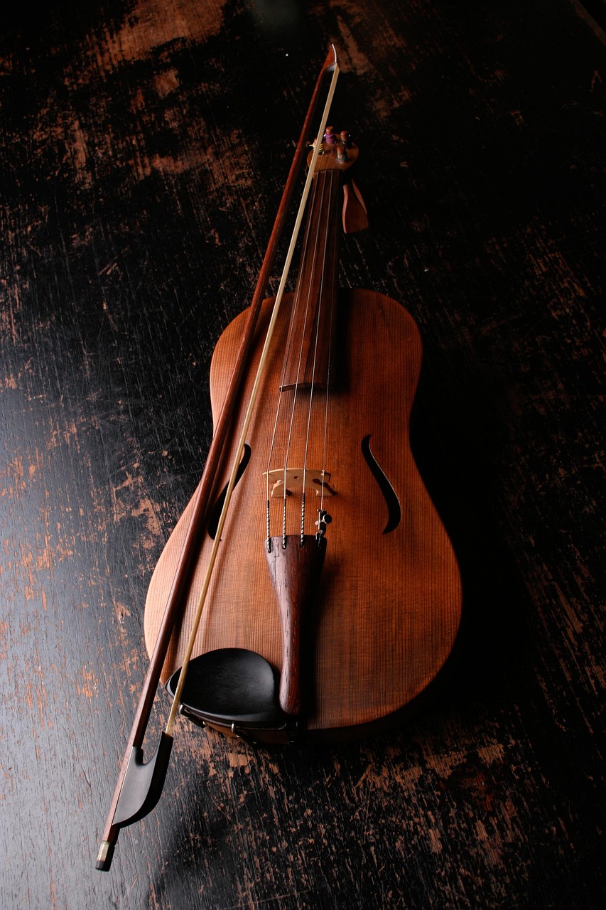 services-03 violin, bow, musical instrument, music, sound, classical music, instrument, classic, wood, stringed instrument, strings, bowed string instrument, violin, violin, violin, violin, violin, music